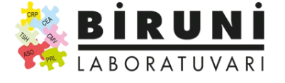 Biruni Laboratuvarı